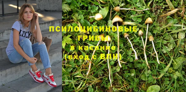а пвп мука Алексин
